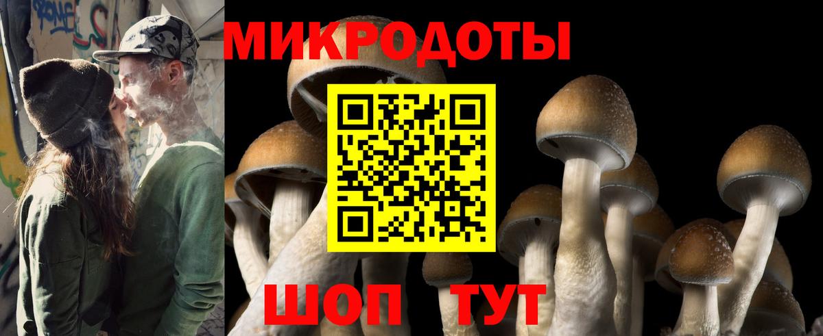 Галлюциногенные грибы мицелий Домодедово